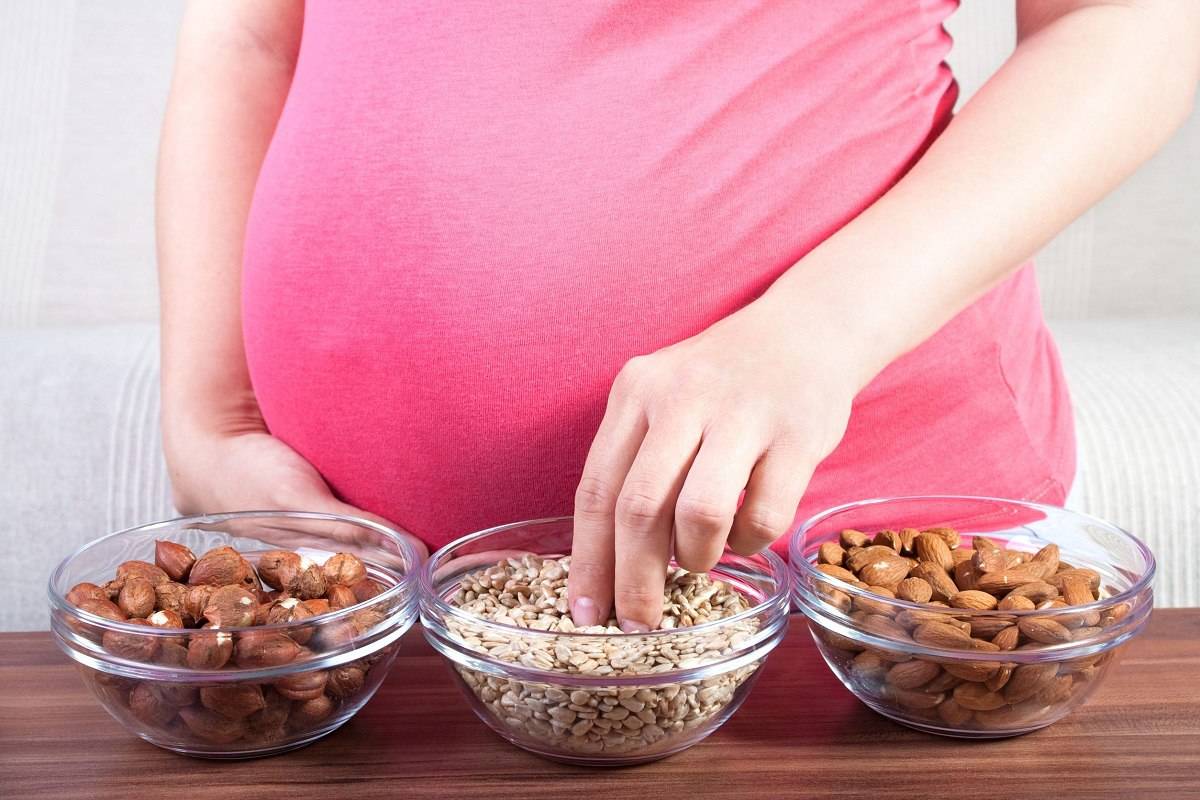 ما هي تغذية الحامل